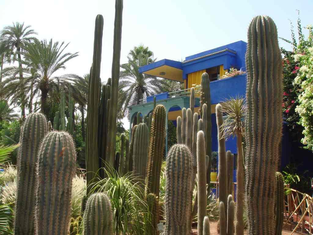 Appart Avec Vue Jardin/Majorelle Marrakesh Bagian luar foto