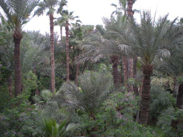 Appart Avec Vue Jardin/Majorelle Marrakesh Bagian luar foto