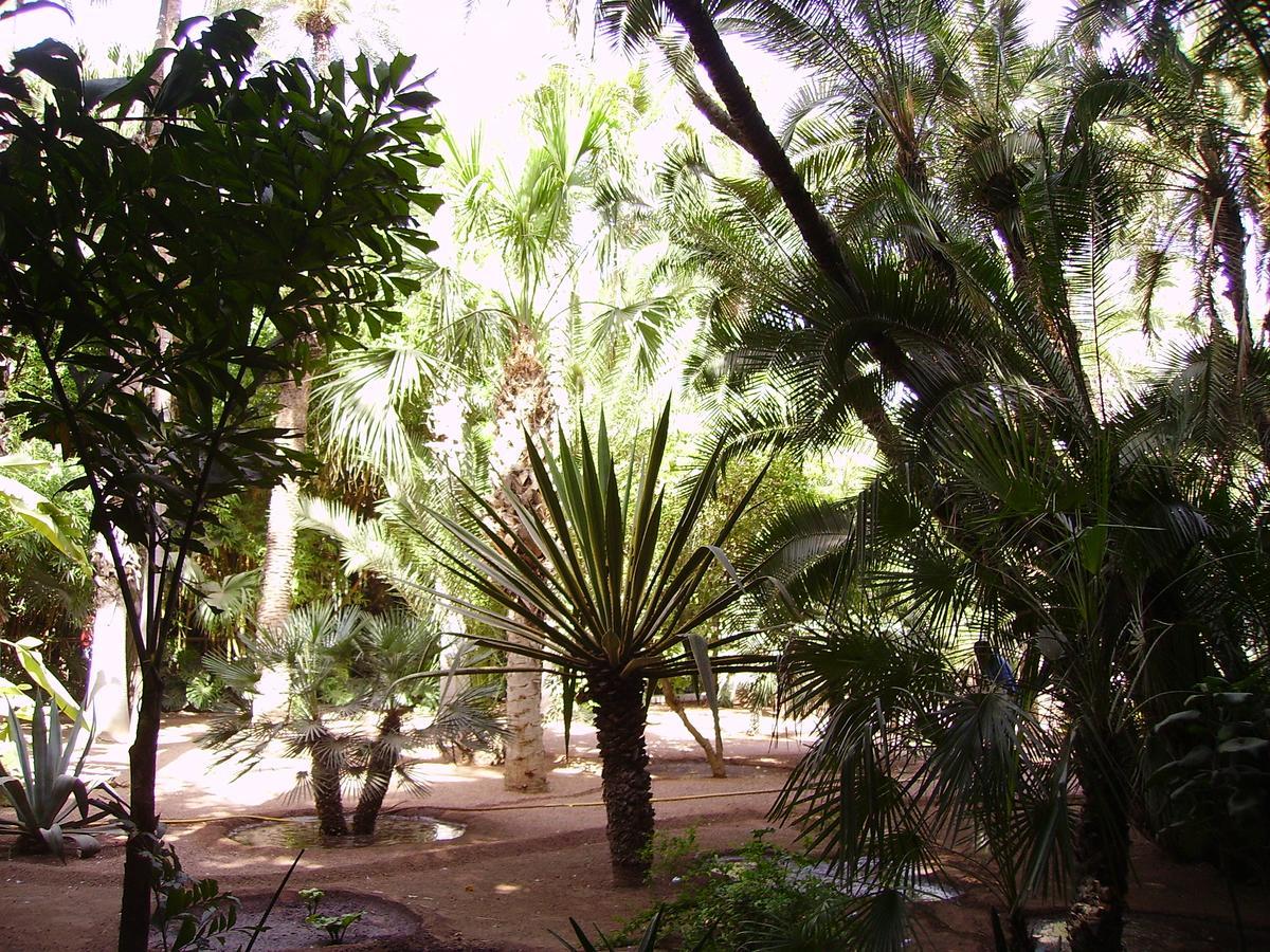 Appart Avec Vue Jardin/Majorelle Marrakesh Bagian luar foto